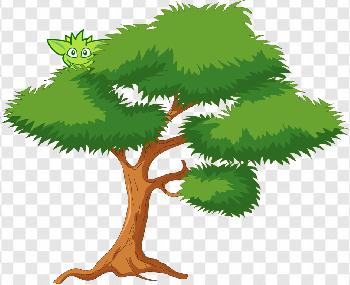 Green Tree Png Cartoon-tree-png Transparent Background Free Download -  PNGImages