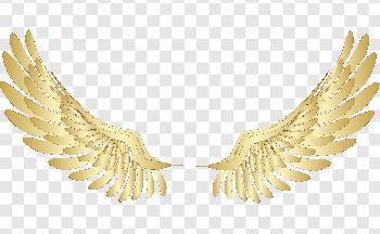 angel wings photoshop download free