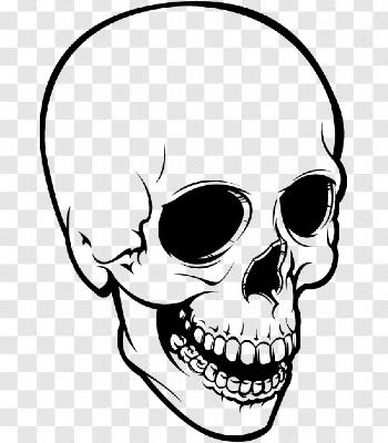 Skull Png Stock Images Free Download Transparent Background Free ...