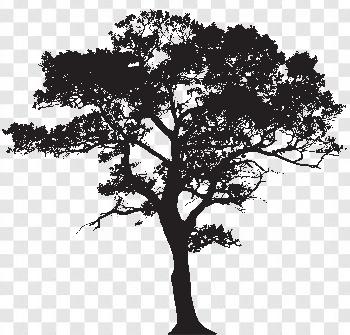 Tree Silhouette Transparent Background Free Download - PNGImages