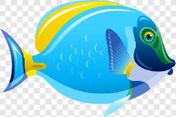 Fish Hd Background Image Png Transparent Background Free Download - PNG ...