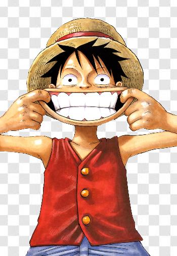 Kepala Luffy PNG Transparent With Clear Background ID 101246