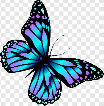 Mariposas Transparent Photo Transparent Background Free Download Png Images