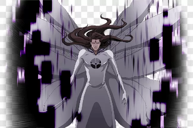 Tv Show, Cartoon, Aizen, Animation, S?suke Aizen