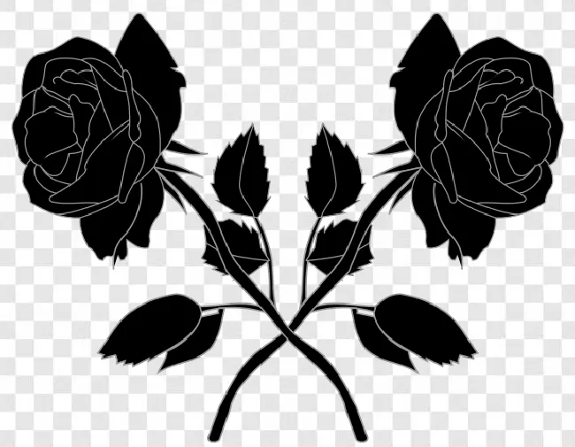 Black Rose Png Editor Transparent Background Free Download - PNGImages