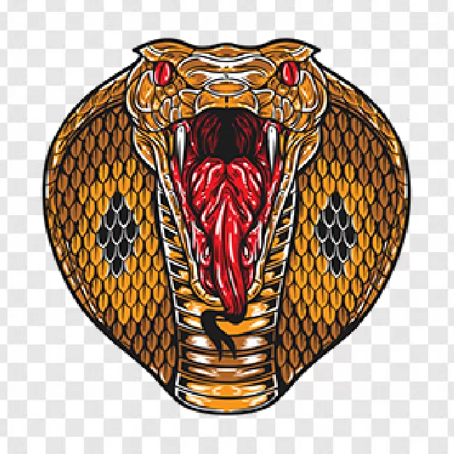 Horizontal, Scale, Cobra, Wild, Animal, Nature, Serpent, Black, Poisonous, Hood, Dangerous, Deadly, Venomous, Isolated, Wildlife, Snake, Reptile, Creature, No People, Bite, Background, Poison, Venom, Danger, Viper