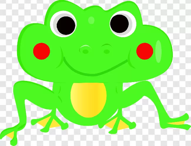 Fun, Background, Isolated, Frog, Sitting, Toad, Design, Illustration, Character, Vector, Animal, Leaf, Graphic, Funny, Cartoon, Adorable, Art, Collection, Green, Amphibian, Wildlife, Cute, Nature, Smile, Happy