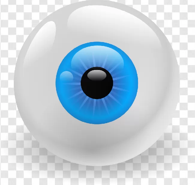 Sphere, Macro, Anatomy, Eye, Halloween, See, Look, Design, Eyesight, Retina, Pupil, Optical, Vision, Blue, Sight, Illustration, Background, White, Isolated, Realistic, Iris, Looking, Human, Eyeball, View