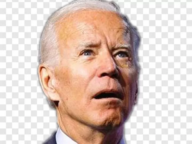 2020, Government, American, Joe Biden, State, United, Us, Usa, Official, Flag, Joe, Politician, Joseph Biden, Political, Election, Person, Politics And Government, America, Democracy, Politic, President, Biden, Candidate, Trump, Democrat