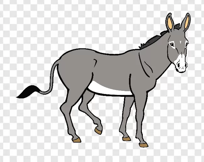 Donkey PNG, Isolated PNG, Animal PNG, Nature PNG, Drawing PNG, Farm PNG, Zoo PNG, Design PNG, Donkeys PNG, 