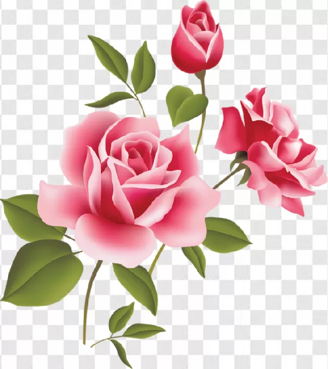 Beautifull, Valentine, Red Rose With Stem, Nature, Arrangement, Beautiful, Leaf, Single, Red, Celebration, Romance, Flowers, Romantic, Flora, Love, Flower, Rose, Roses