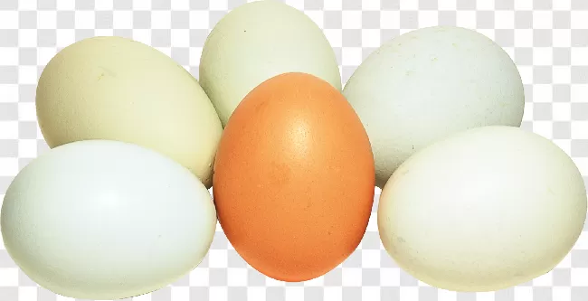 Easter Egg, Farm, Cooking, Fresh, Chicken, Eggshell, Cracked, Egg, Healthy, Animal Egg, Brown, Broken, Breakfast, Animal, Easter, Natural, Closeup, Yellow