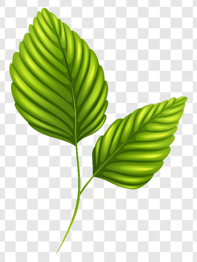 Leaf Logo, Environment, Eco, Maple Leaf, Nature, Tree, Green, Leaves, Natural, Leaf, Green Logo, Plant, Texture, Icon, Art, Logotype, Fresh, Ecology, Organic, Nature Logo