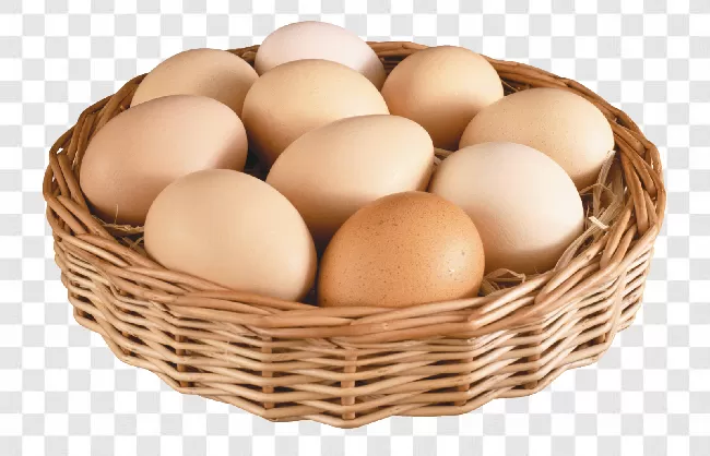 Animal, Brown, Farm, Yellow, Breakfast, Animal Egg, Eggshell, Easter, Healthy, Egg, Fresh, Closeup, Cracked, Cooking, Broken, Natural, Easter Egg, Chicken, Egg