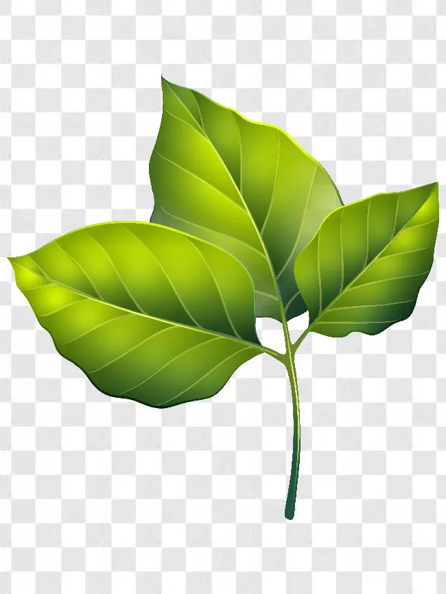 Tree, Fresh, Icon, Leaf Logo, Eco, Art, Ecology, Plant, Green, Leaf, Leaves, Natural, Texture, Logotype, Organic, Green Logo, Nature, Environment, Maple Leaf, Nature Logo