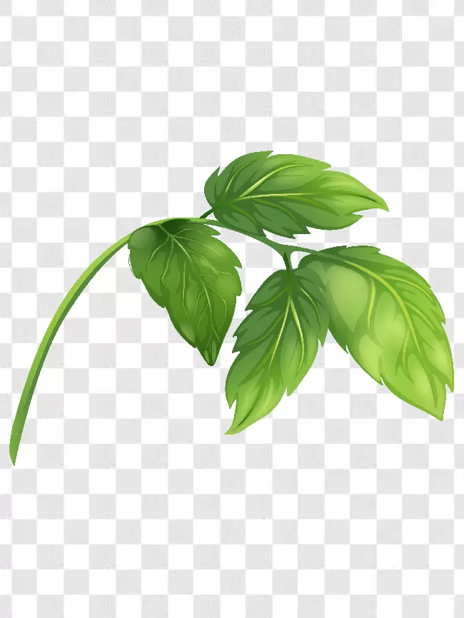 Eco, Maple Leaf, Texture, Icon, Art, Organic, Plant, Leaves, Nature, Ecology, Natural, Leaf Logo, Fresh, Green Logo, Green, Tree, Logotype, Nature Logo, Leaf, Environment