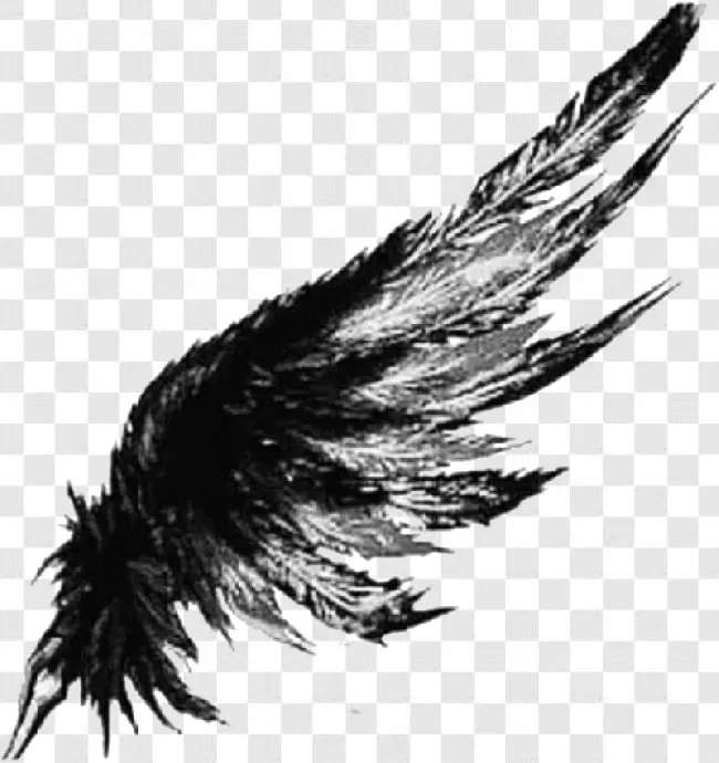 Wing, Art, Angel, Wings, , Animal Wing, Angel Wing