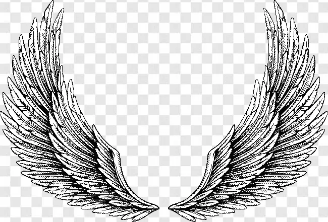 Angel Wing, Art, Wings, Animal Wing, Angel, Wing, 
