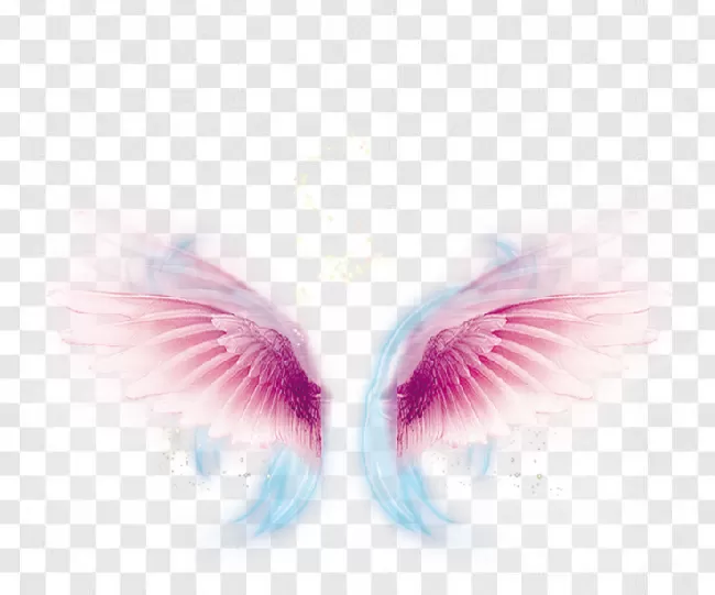 Angel, Wing, Wings, Animal Wing, Angel Wing, , Art