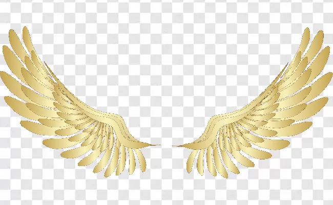 Angel Wings Photoshop Editing Transparent Background Free Download -  PNGImages