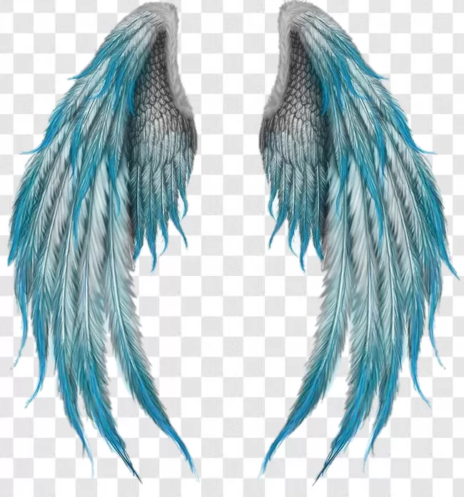 Angel Wings Png Editor Transparent Background Free Download - PNGImages