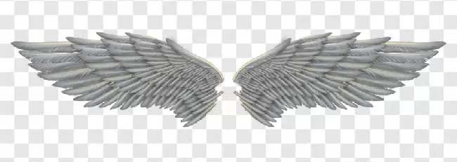 Animal Wing, , Angel, Wings, Art, Angel Wing, Wing