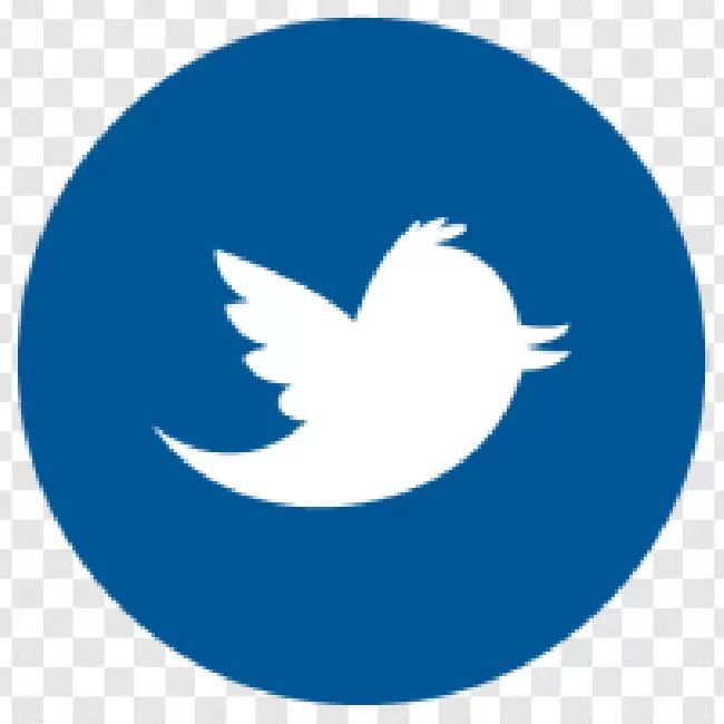 Social, Twitter Icon, Twitter Logo, Tweet, Logo, Twitter, Networking