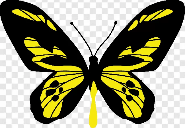 Beauty, Flower, Fly, Free Png, Animals, Animal Silhouette, Butterflies, Animal Wing, Beautiful, Colorful, Animal, Butterfly Vector, Butterfly, Wings, Flowers, Nature, Butterflies Flying, Butterfly