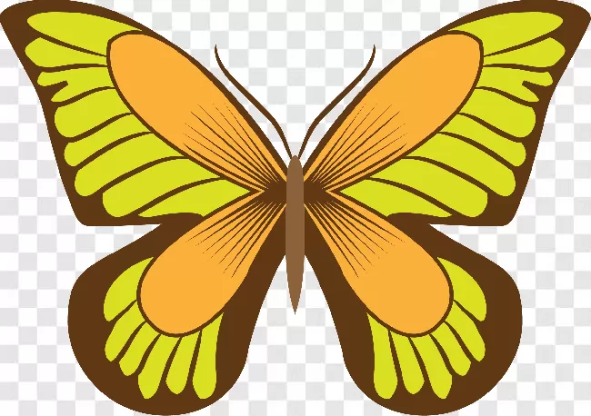 Beautiful, Flower, Animal, Nature, Free Png, Animals, Colorful, Animal Silhouette, Flowers, Butterflies Flying, Animal Wing, Butterfly - Insect, Butterfly Vector, Flying, Butterflies, Wings, Beauty, Fly, Butterfly