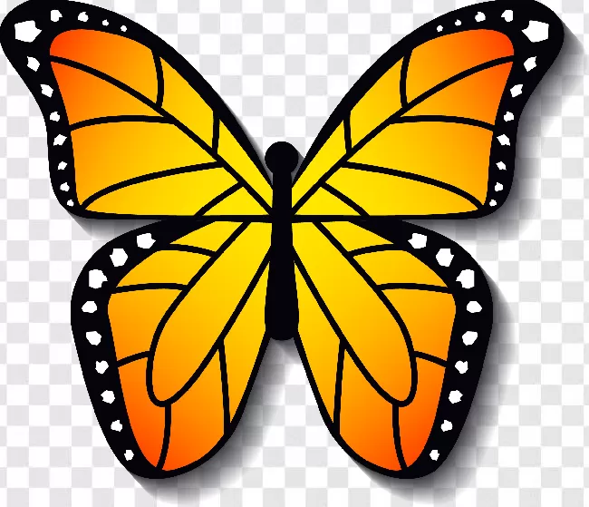 Animal Wing, Butterflies Flying, Nature, Beauty, Free Png, Flying, Colorful, Animal, Animal Silhouette, Beautiful, Wings, Flowers, Fly, Animals, Butterfly Vector, Flower, Butterflies, Butterfly