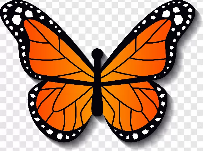 Animal Silhouette, Beauty, Butterfly, Animals, Free Png, Nature, Fly, Butterflies, Butterfly - Insect, Animal, Butterflies Flying, Wings, Butterfly Vector, Flying, Flower, Colorful, Beautiful, Flowers, Animal Wing