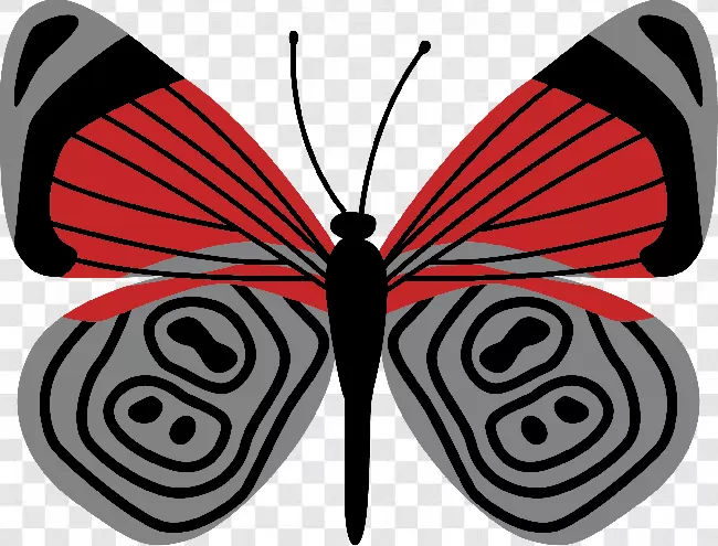 Flying, Wings, Animals, Animal, Animal Silhouette, Butterfly Vector, Free Png, Nature, Butterflies Flying, Colorful, Butterfly, Fly, Butterflies, Animal Wing, Flower, Beauty, Beautiful, Flowers