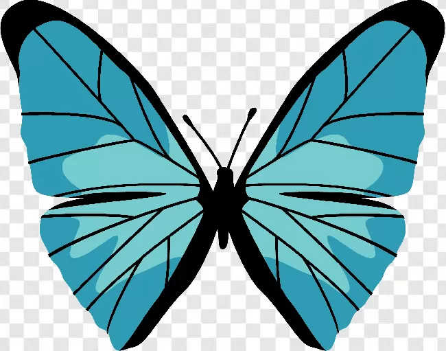 Flying, Butterfly, Butterflies, Beauty, Animals, Colorful, Butterfly Vector, Butterflies Flying, Fly, Flowers, Free Png, Beautiful, Animal Wing, Flower, Animal Silhouette, Animal, Nature, Wings