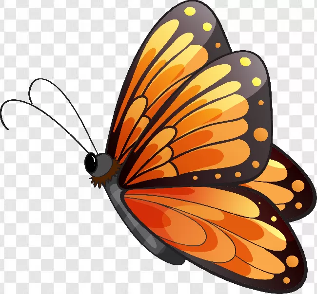 Animal Wing, Butterflies, Wings, Flowers, Nature, Animal, Butterfly Vector, Colorful, Butterfly - Insect, Animals, Free Png, Flower, Flying, Butterfly, Fly, Animal Silhouette, Butterflies Flying, Beauty, Beautiful