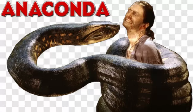 anaconda vs human