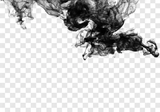 Background, Isolated, Fog, Wave, Transparent, Motion, Light, Design, Abstract, Smoke