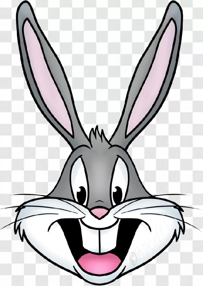 Bunny, White, Rabbit, Funny, Animal, Cute, Fur, Carrot, Cartoon, Bug