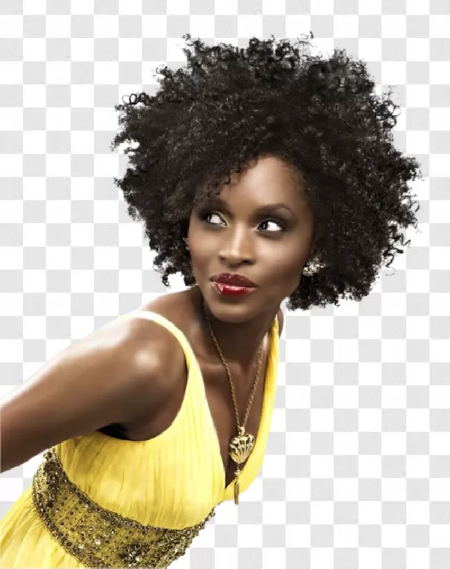 African, Hairstyle, Afro, Fashion, Afro Silhouette