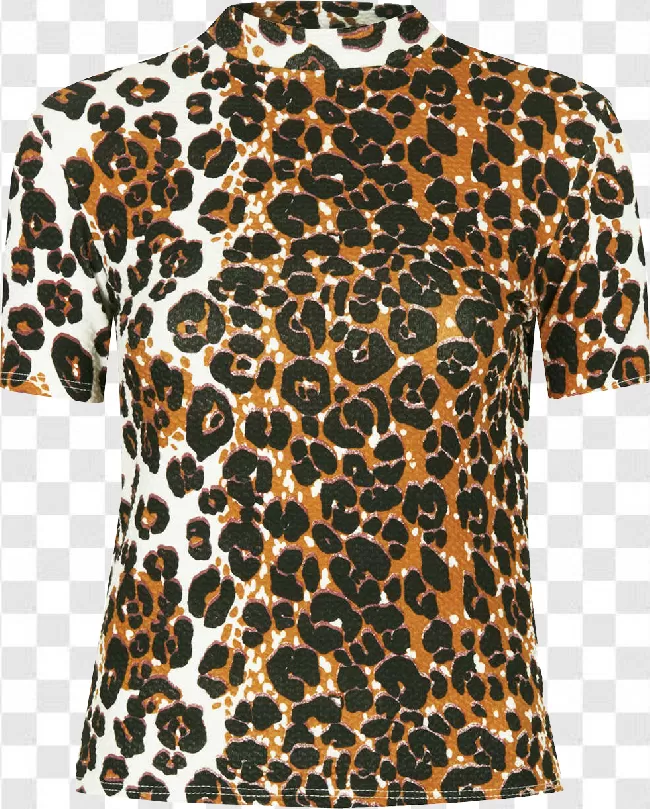 Animal, Cheetah Print, Animal Pattern, Cheetah, Animal Wildlife, African Cheetah