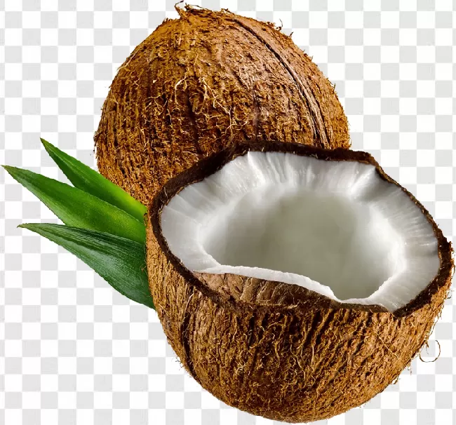 Coconut Png Cartoon Images Free Download Transparent Background Free ...