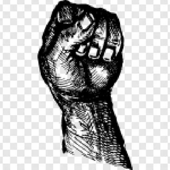 Victory, Human, Fist, Vector, Strength, Black, Fight, Freedom, Arm, Concept, Person, Icon, Design, Revolution, Isolated, Anger, Strong, Illustration, Symbol, Power, Background, Gesture, Protest, Sign, Hand