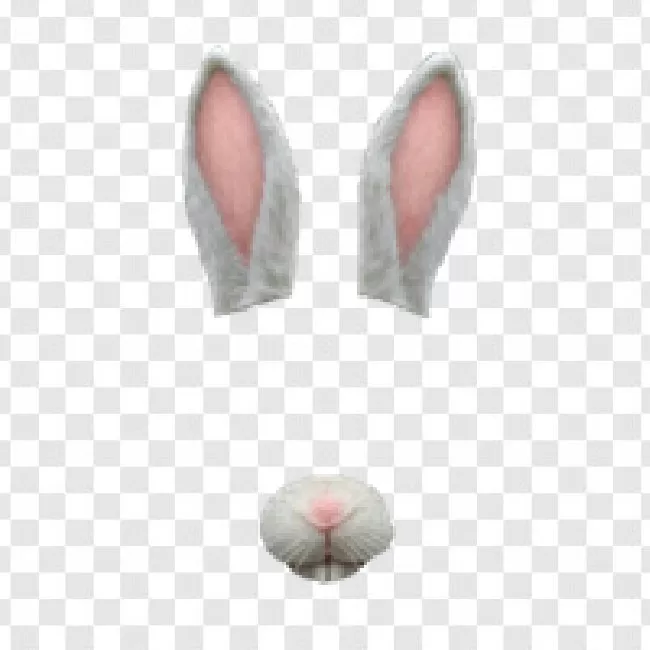 Art, Vector, Bunny, Pink, Easter, Ear, Rabbit, Cartoon, White, Hare, Design, Celebration, Background, Funny, Holiday, Animal, Spring, Fun, Decoration, Symbol, Isolated, Illustration, Cute, Happy, Pet