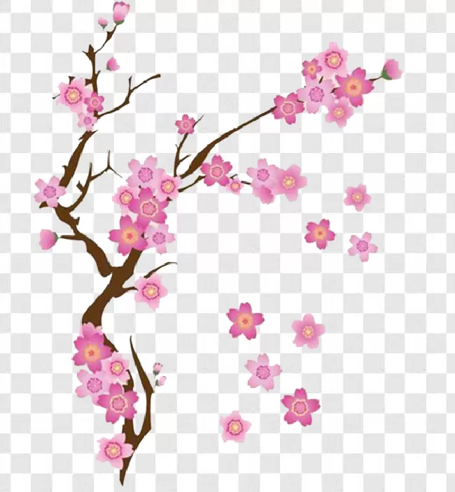 Branch, Background, Floral, Blooming, Garden, Flower, Petal, Pink, Japanese, Beautiful, Season, Illustration, Japan, Beauty, Sakura, Springtime, Nature, Design, Bloom, Spring, Tree, Plant, Cherry Blossom, Cherry, Blossom