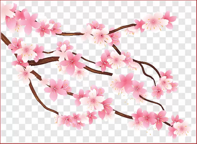 Garden, Japanese, Pink, Background, Nature, Floral, Illustration, Cherry Blossom, Spring, Branch, Sakura, Cherry, Petal, Beautiful, Bloom, Springtime, Beauty, Plant, Season, Flower, Japan, Design, Tree, Blooming, Blossom