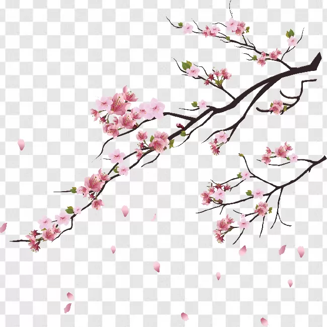 Beauty, Sakura, Nature, Bloom, Springtime, Beautiful, Japanese, Tree, Flower, Season, Spring, Background, Blooming, Pink, Illustration, Petal, Design, Japan, Plant, Blossom, Garden, Cherry, Floral, Cherry Blossom, Branch