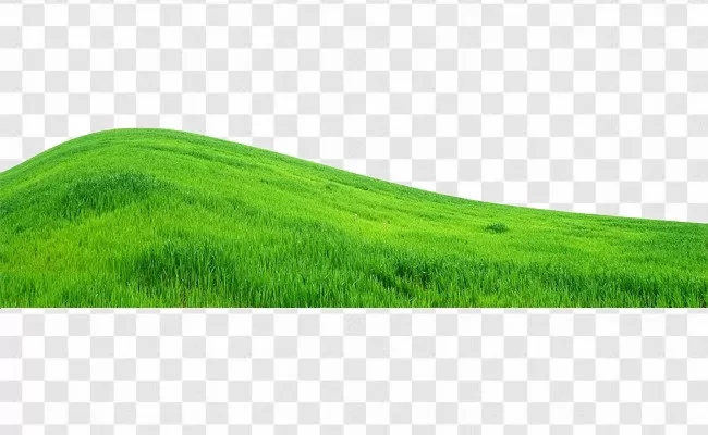 Hill Background Image Png, Land, Field, Natural, Pasture Transparent  Background Free Download - PNGImages