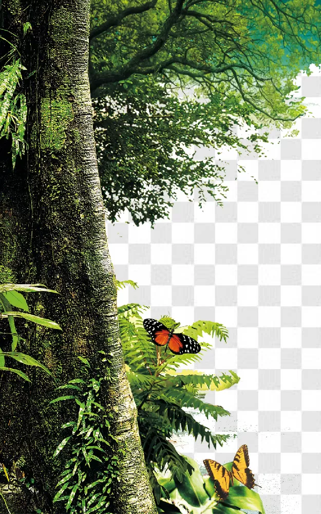 jungle tree clipart