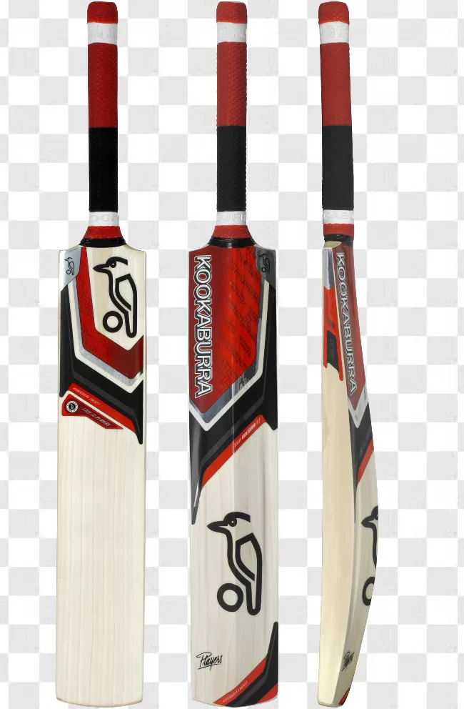 Cricket, Ball, Leisure, Team, Bat, Competition, Sport, Game, Equipment