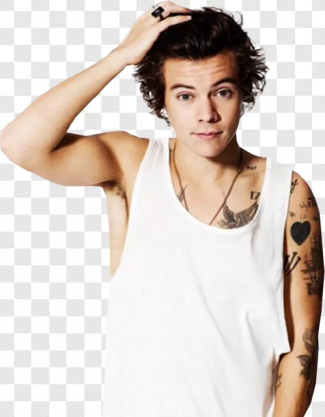 Person, Popular, Event, Celebrity, Fame, Talent, Star, One Direction