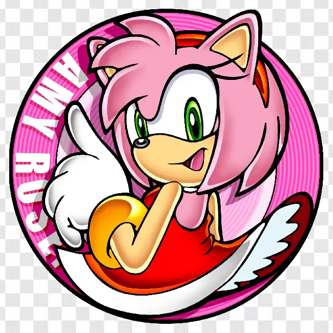 Amy Rose PNG File PxPNG Images With Transparent Background To Download For  Free